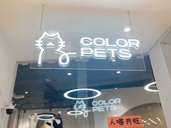-COLOR PETS 撸猫馆·购猫·猫咖(长风大悦城店)