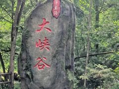 -茅兰沟国家森林公园