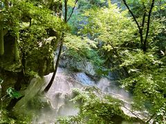 -牛背梁国家森林公园