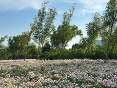-长广溪湿地公园
