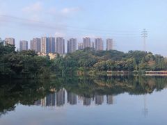 -重庆彩云湖湿地公园