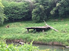 -宁波野生动物园