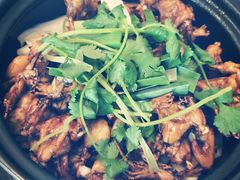 -友黔蛙(吉大店)