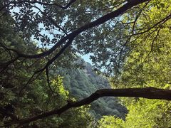 -西安金龙峡风景区