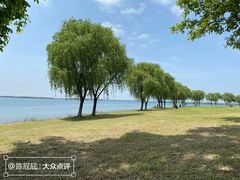 -漕湖湿地公园