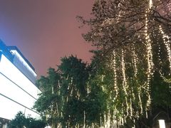 -马文章胖子甑糕(洒金桥店)