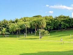 -深圳湾公园(南山区)