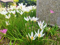 -那琴半岛地质海洋公园