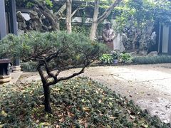 -绍兴鲁迅故里·沈园景区