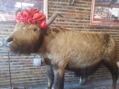 -横沥牛庄(总店)