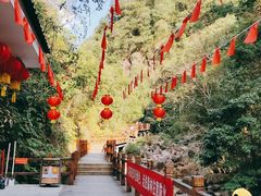 -九龙江国家森林公园