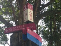 -九龙寨城公园