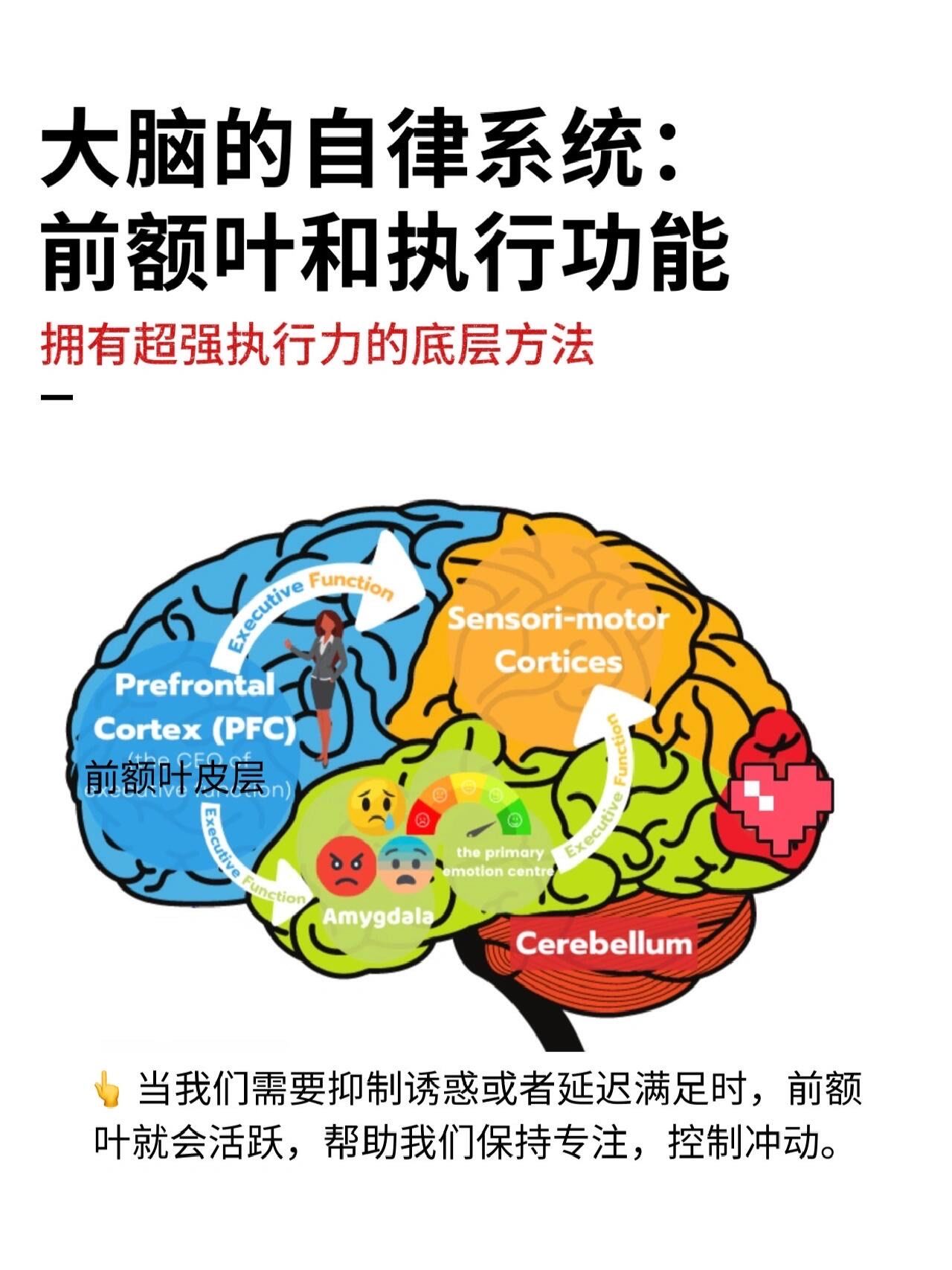 自控力,或称自我调节能力,是指个体对自己的行为,情绪和思维进行控制