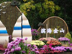 -上海共青森林公园