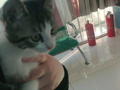 -乖乖乐动物医院(小汤山分院)