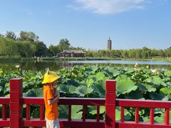 -西海子公园