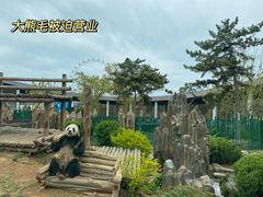 -大连森林动物园