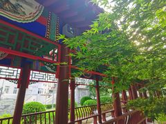 -北京中医药大学东方医院(方庄院区)