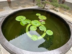 -广富林宰相府酒店·水云间