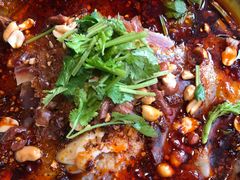 -陈麻婆豆腐总店