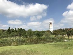 -东平国家森林公园