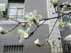 -北京理工大学(中关村校区)