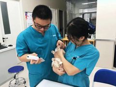 -爱妮康宠物医院·干细胞免疫细胞·肿瘤·心脏(张江店)