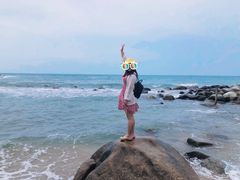 -广东惠东海龟国家级自然保护区