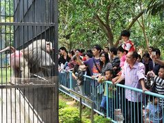 游客-广东茂名森林公园