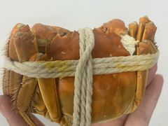 -阳澄湖大闸蟹·琼灵阁牌品牌连锁(吴中总店)