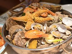 -悦海·家宴·冰花皮皮虾大锅贴(宝龙店)
