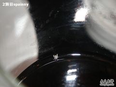 中上方---杯子里的腻虫-官也街澳门火锅(新源里店)