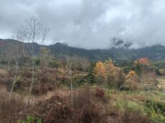 -塔川景区