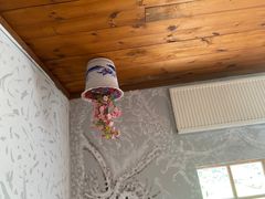 -金山农民画村-枫泾波兰倒置屋