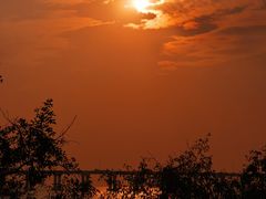 -宝安西湾红树林湿地公园