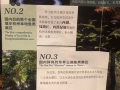 -江和美海洋公园