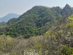-大岭沟猕猴桃谷风景区