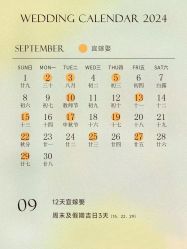 -琥珀婚礼策划AMBER WEDDING