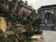 -老幺泉水鸡