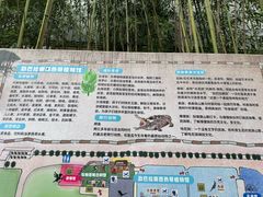 -呀路古热带植物园