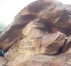 -翱翔飞越地平线