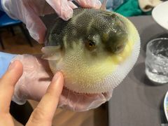 -肆月河豚·新淮扬(金融街店)