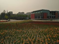 -廊坊文化艺术中心