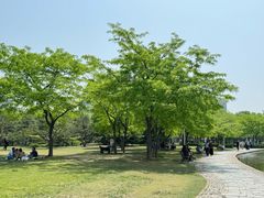 -泰丰公园
