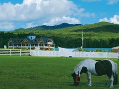 -五营红松林海景区