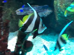 -沈阳海洋探索中心