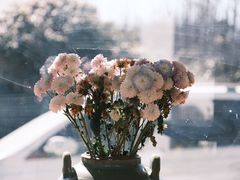 -翠田Green Field Kitchen