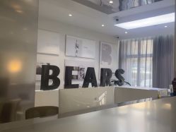 -三只熊皮肤管理中心旗舰店