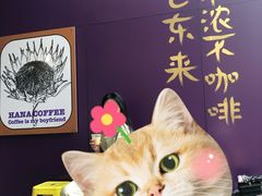 -HANA COFFEE(长寿路店)