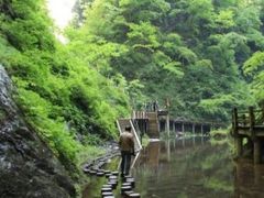 -牛背梁国家森林公园